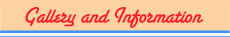 Gallery & Information